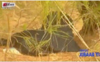 Vidéo – Un homme mort retrouvé ligoté derrière le dépotoir de Mbeubeuss ! Regardez.