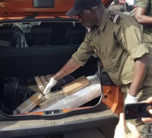 Trafic de stupéfiants: 60 000 kg de drogue d’une valeur de 250 milliards FCfa saisis par la Douane entre 2019 et 2022